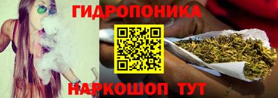 сатива Кимры
