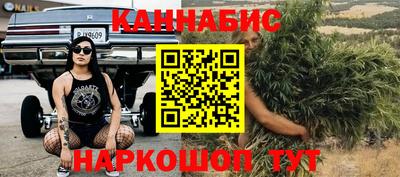 сатива Кимры