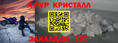 не бодяженный Кингисепп