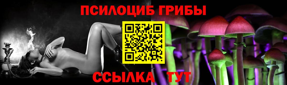 Ефремов  Галлюциногенные грибы прущие грибы  Вход с VPN  Галлюциногенные грибы Magic Shrooms 