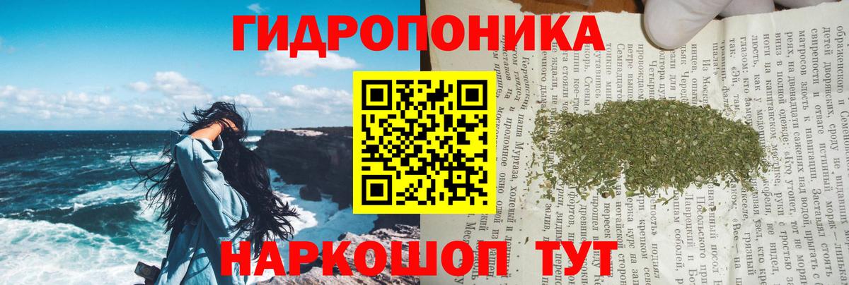 МАРИХУАНА ГИДРОПОН Ефремов